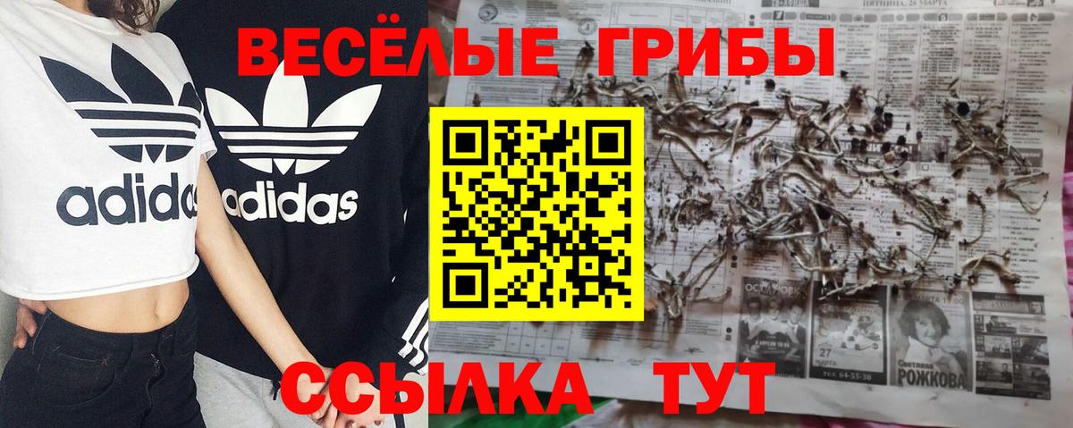 Галлюциногенные грибы Magic Shrooms  Вход с VPN  Галлюциногенные грибы GOLDEN TEACHER  Щёлково 